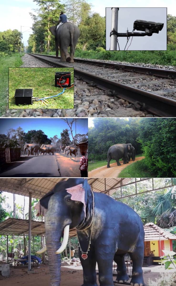 Technology to the rescue in human-elephant conflicts