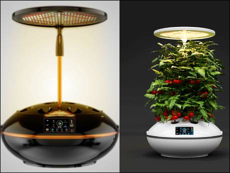 Agro2o Smart Garden combines  technology with hydroponics