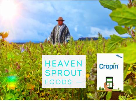 Cropin helps expand agri-tech in LatAm, with Heaven Sprout Foods partnership