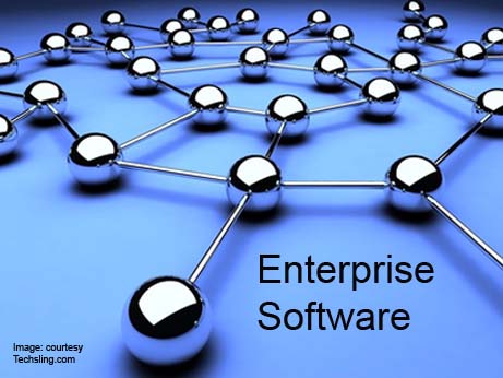 Enterprise software biz is on the go in India:Gartner