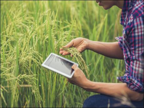 Farm ERP paves way for smart farming