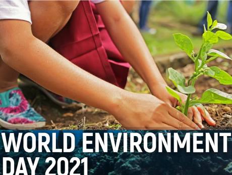 Indian corporates commit to the environment