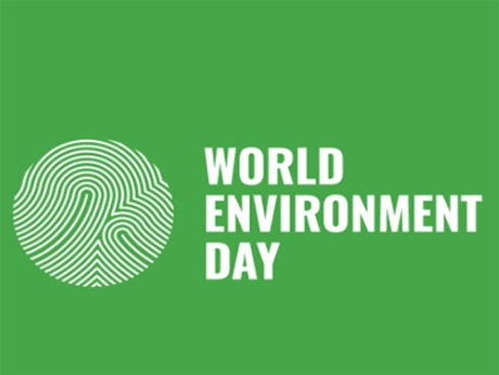 Indian tech leaders reflect on World Environment Day