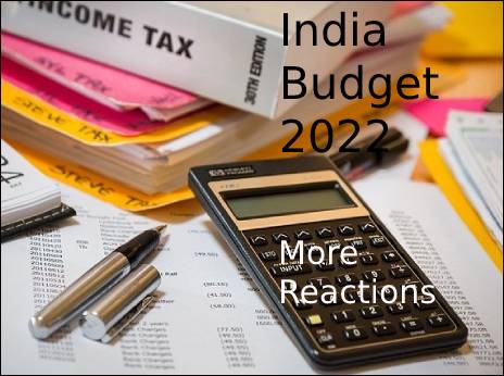 More reactions to India's Budget 2022