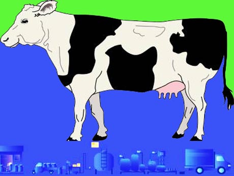 Now, a full fledged platform for  the digital dairy