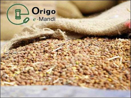 e-Mandi: Origa sets up farmer procurement centres across India