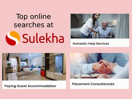 Placement  consultancies, domestic help and paying guests topped online searches at Sulekha.com