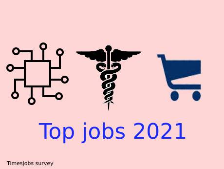Infotech, healthcare and e-biz will be top jobs in 2021, finds survey