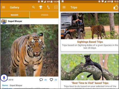 Wild species  sightings are made easier with the WildTrails app