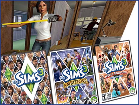 A decade on, 'The Sims'   is a cult  game in India