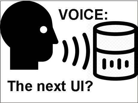 Voice is the way to go