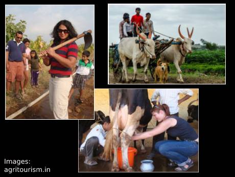 Agri-tourism is an emerging niche that is taking off in India